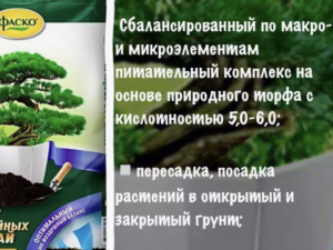 Грунт для хвойных и бонсай 5л Россия *249439