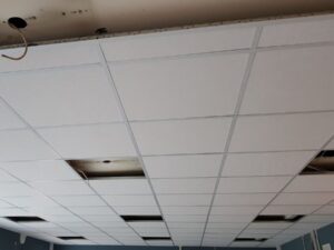 Потолочная панель RUS 01 бел.Албес
